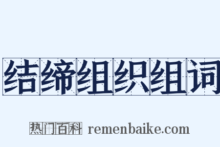 结缔组织组词是什么意思的图片